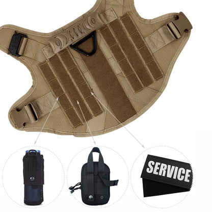 Large Dog Harness and Leash Set