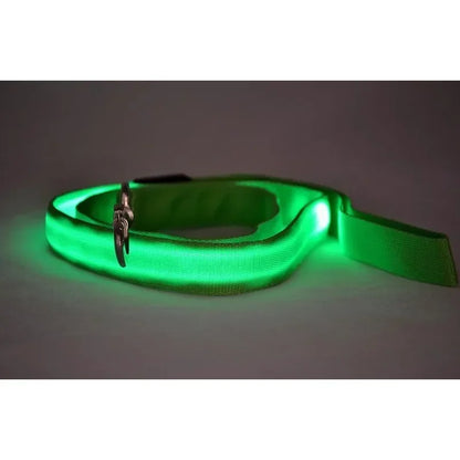 LED Dog Leash
