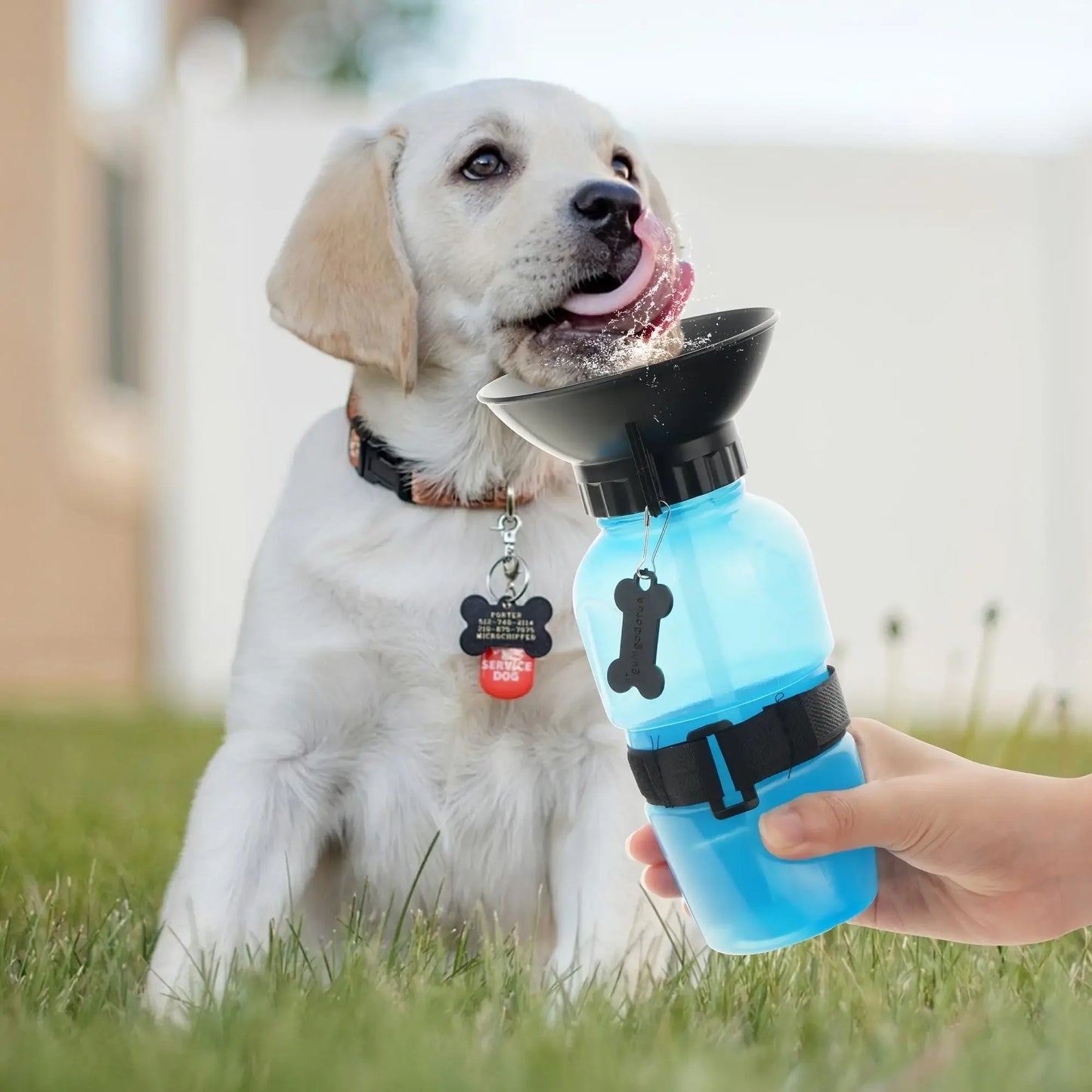 Dog Water Bottle