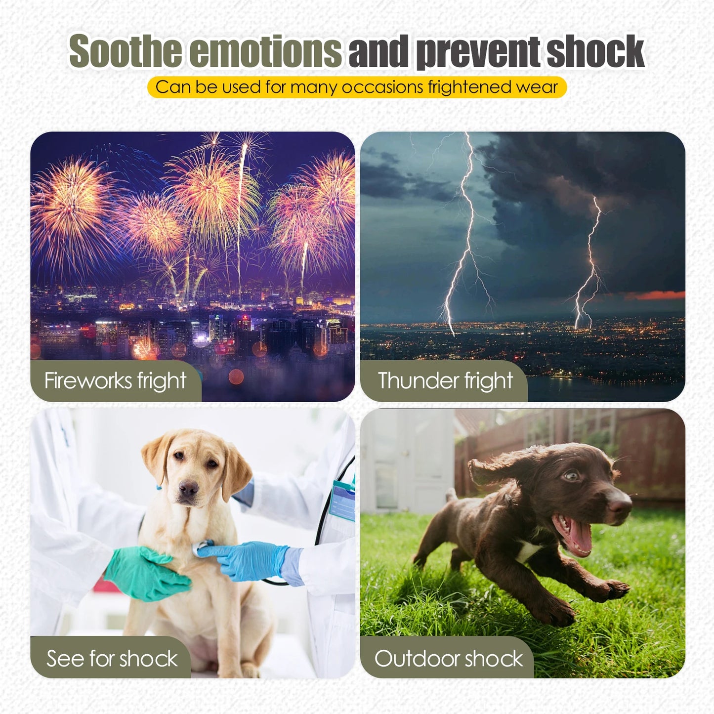 Dog Anxiety Vest