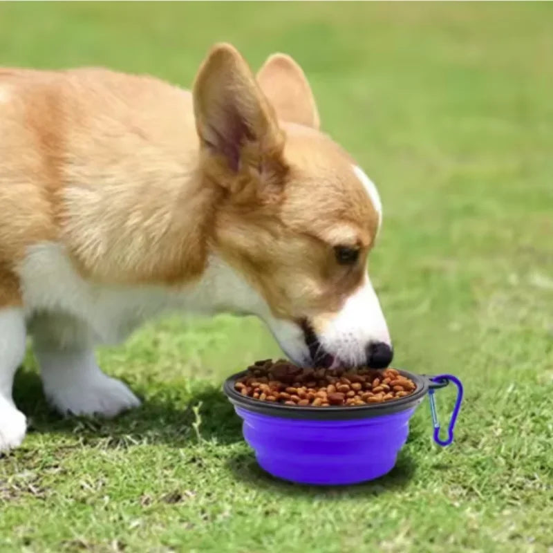 Portable Pet Food Bowl