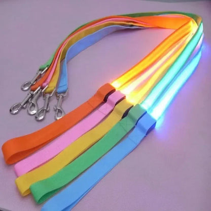 LED Dog Leash