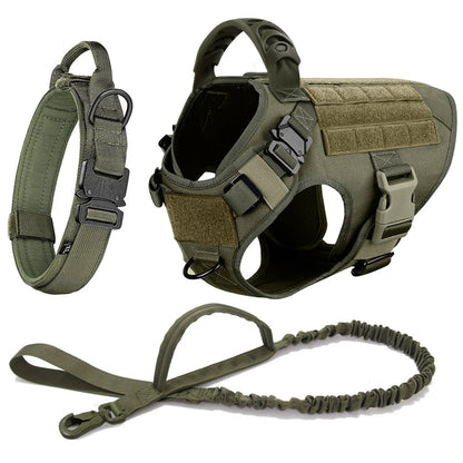 Large Dog Harness and Leash Set